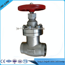 stainless steel sw end forged globe valve